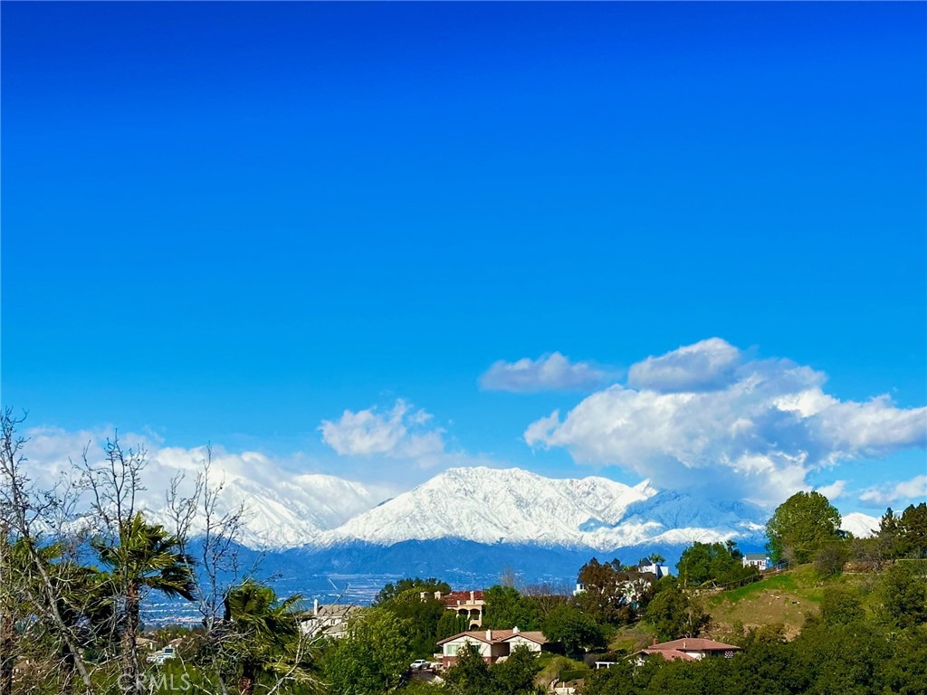 16405 Blue Grass Lane