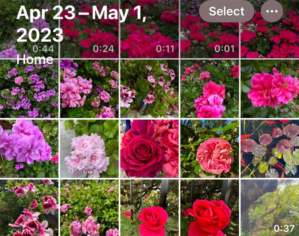 16405 Blue Grass Lane