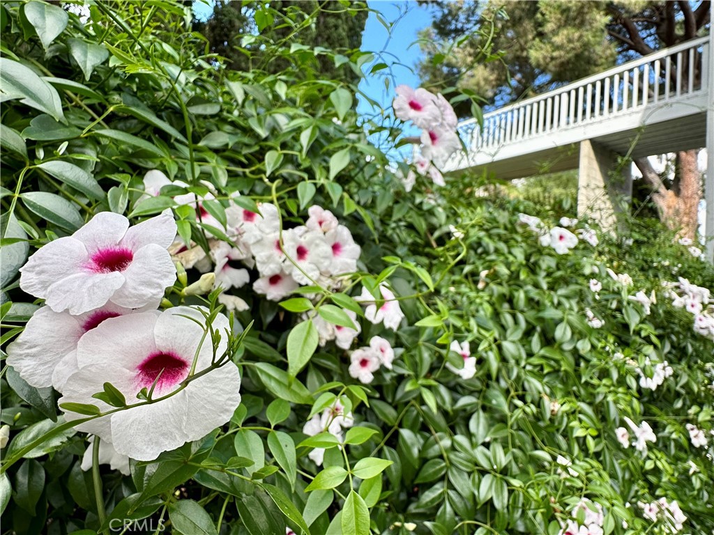 16405 Blue Grass Lane