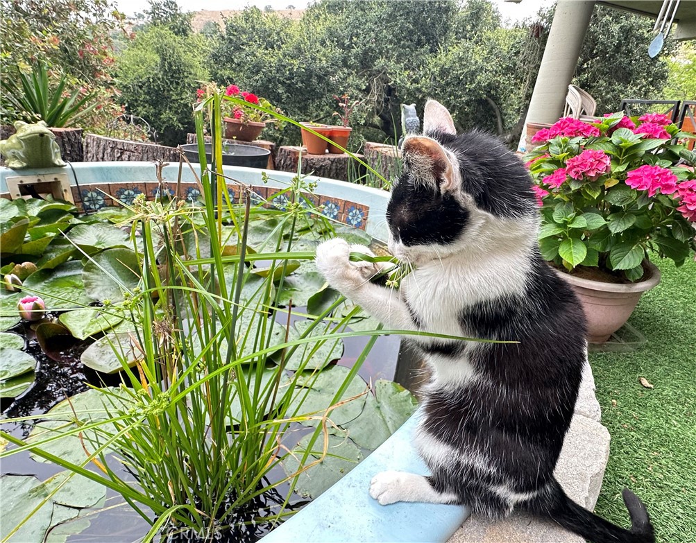 16405 Blue Grass Lane