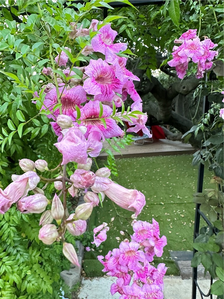 16405 Blue Grass Lane