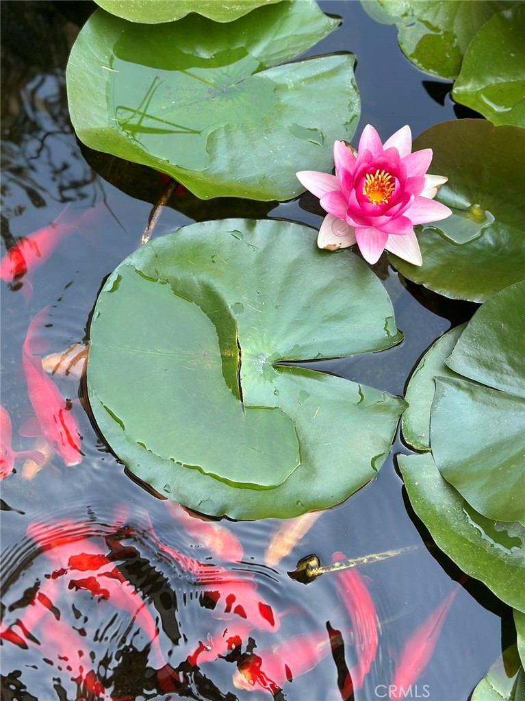 16405 Blue Grass Lane