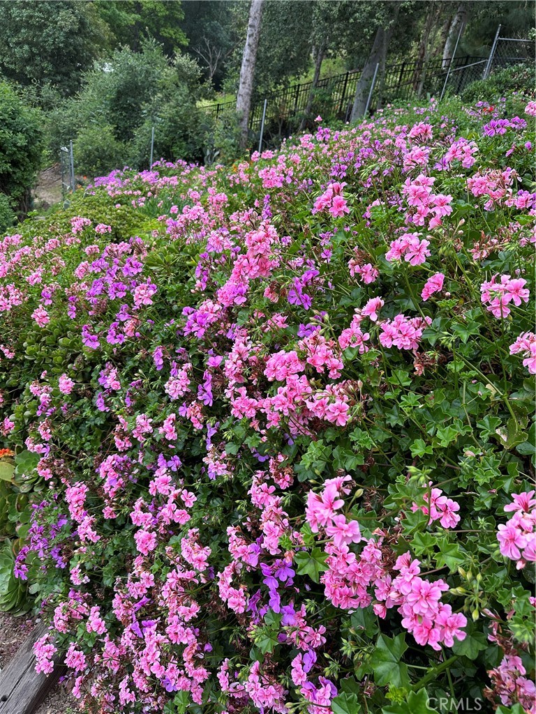 16405 Blue Grass Lane