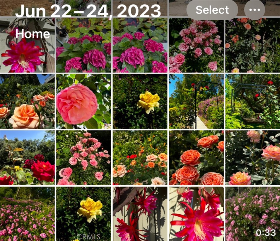 16405 Blue Grass Lane