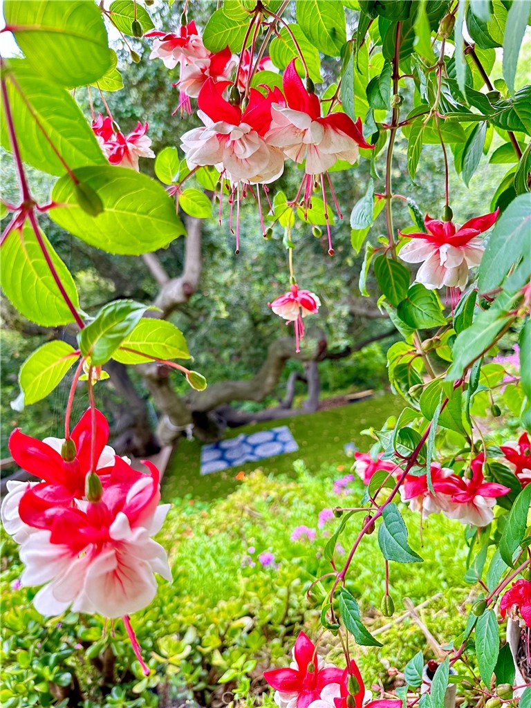 16405 Blue Grass Lane