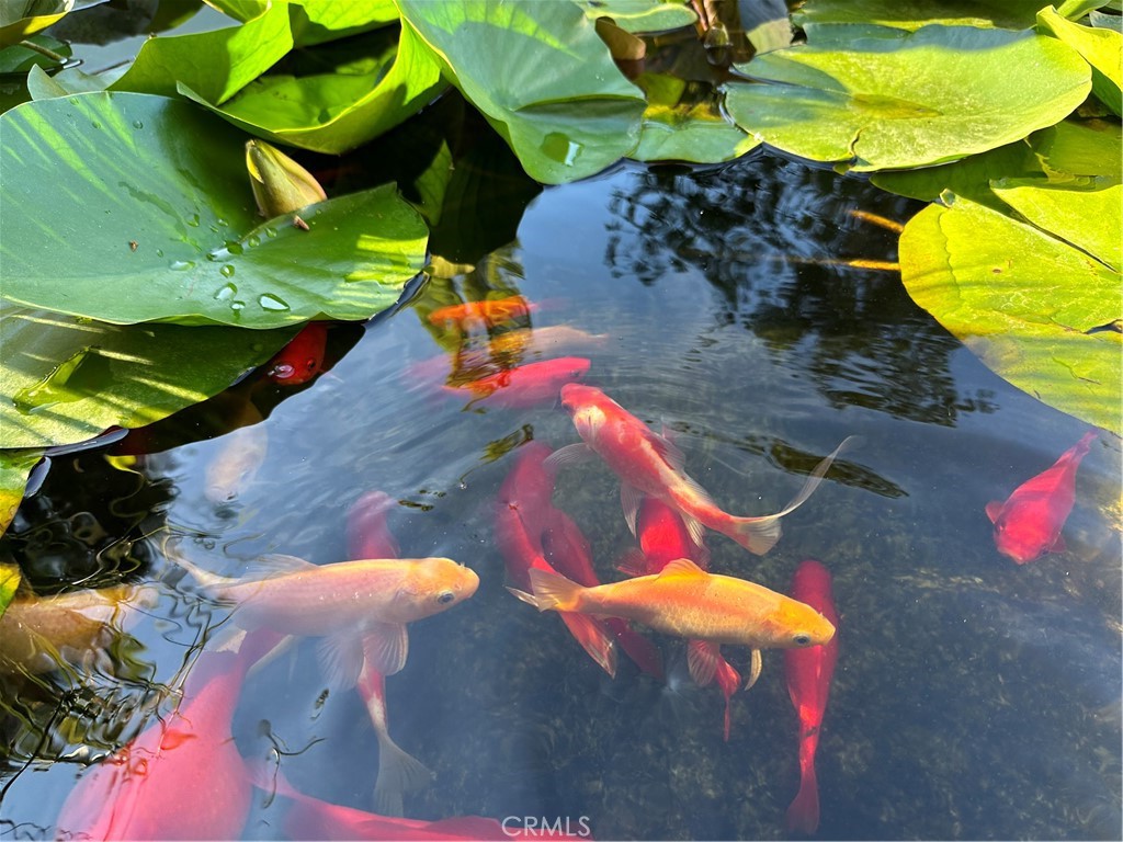 16405 Blue Grass Lane