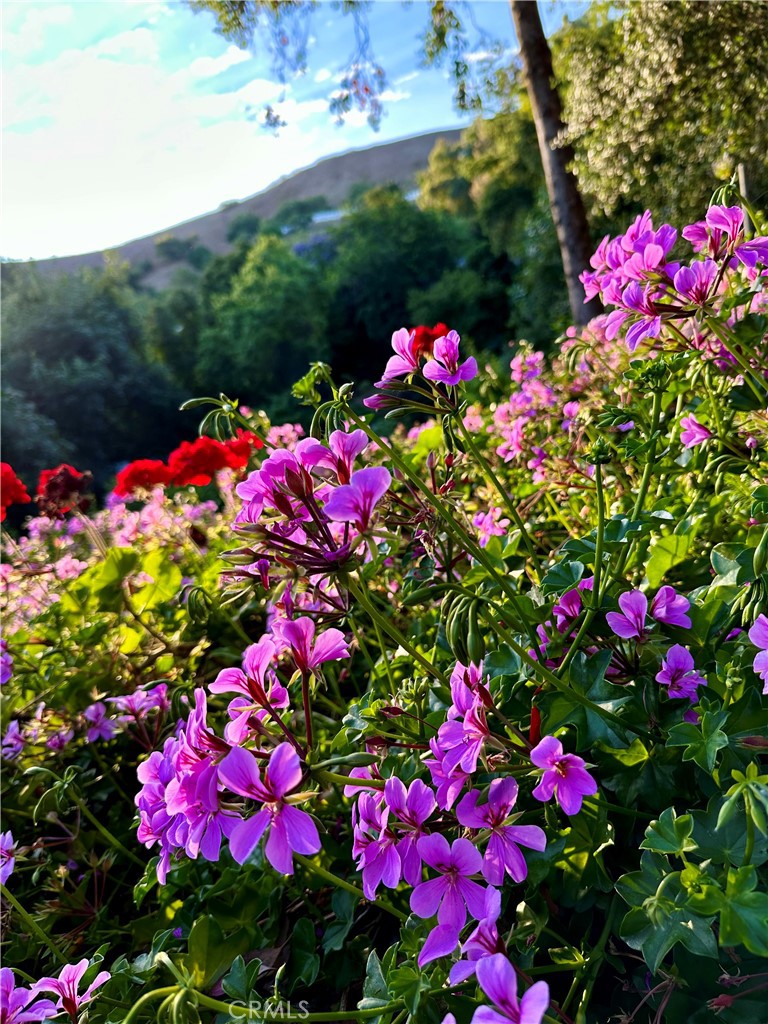 16405 Blue Grass Lane