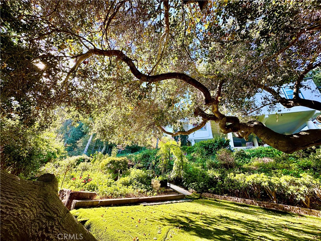 16405 Blue Grass Lane