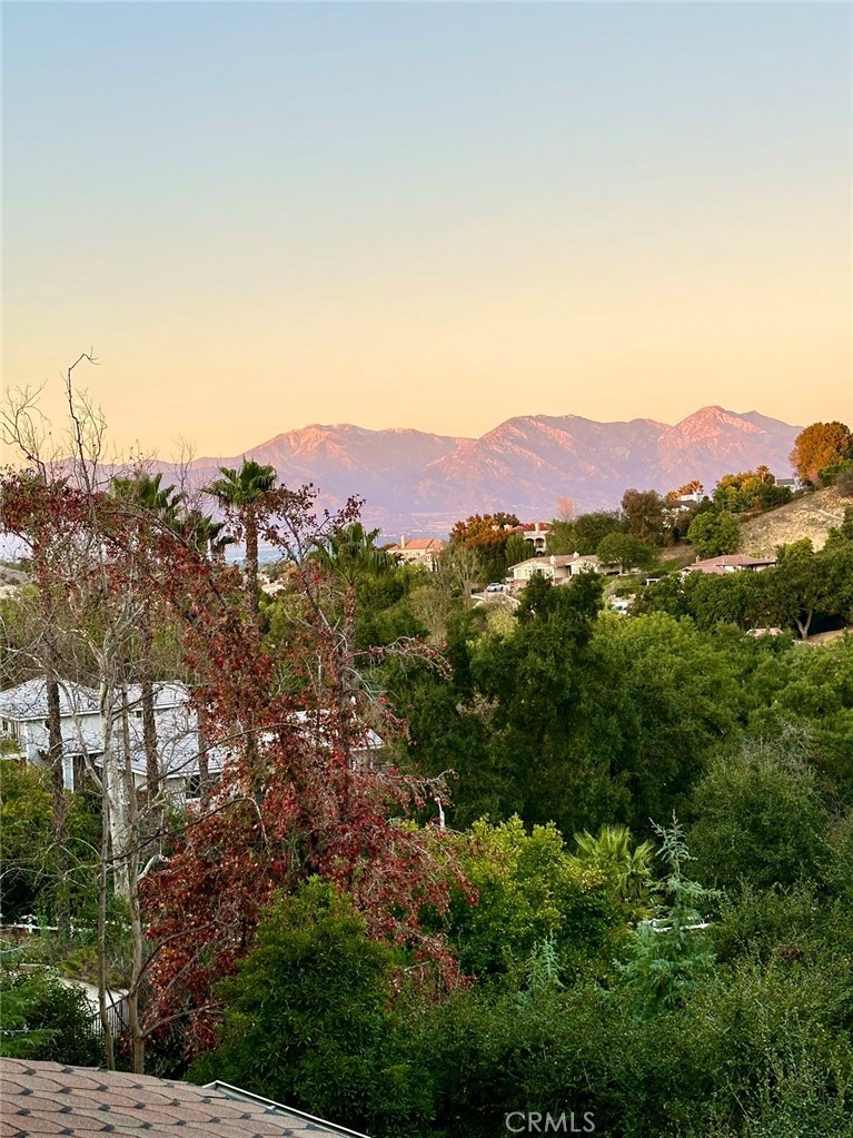 16405 Blue Grass Lane