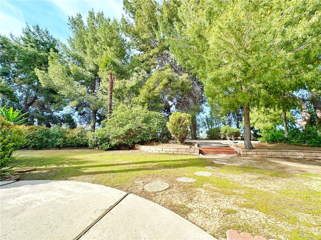 23502 Shadow Crest Place