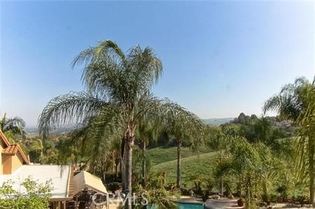 2211 Avenida Las Ramblas