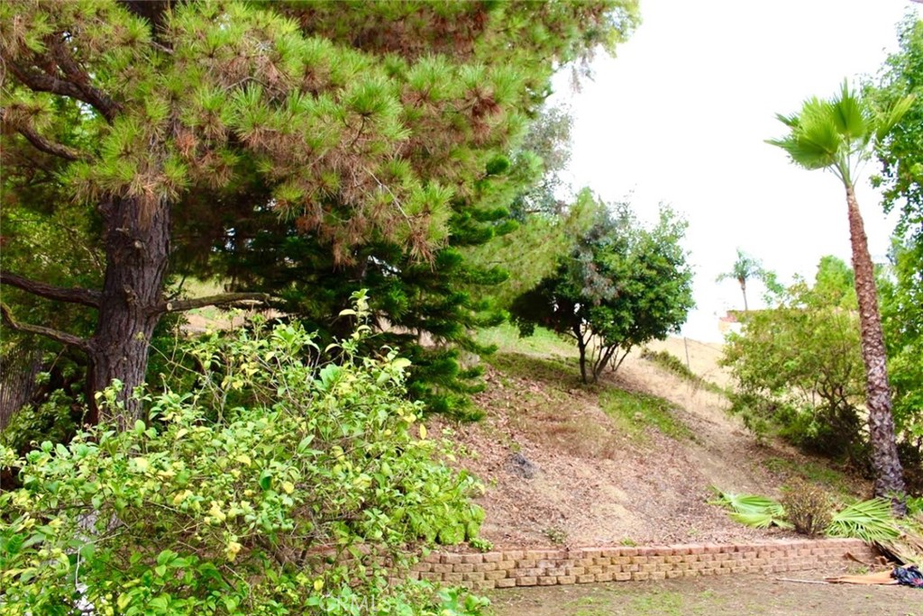 1427 Stonecrest Place