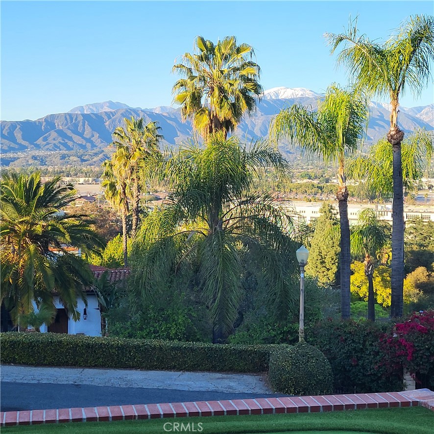 1276 Hillcrest Drive