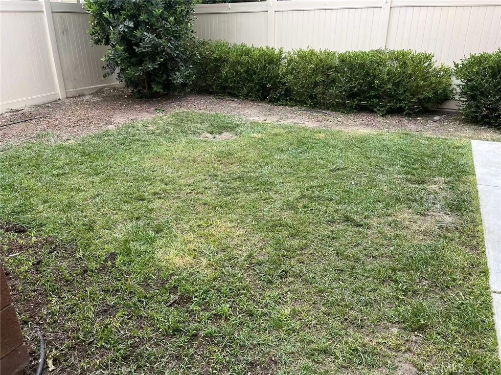 8775 Festival Street