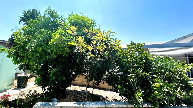 21217 E Washington Avenue 136