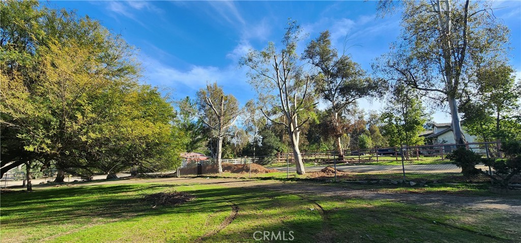 33155 Buckwheat Drive