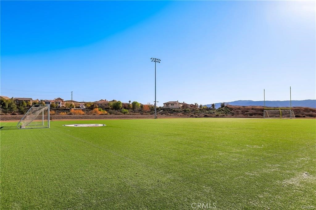 41031 Crimson Pillar