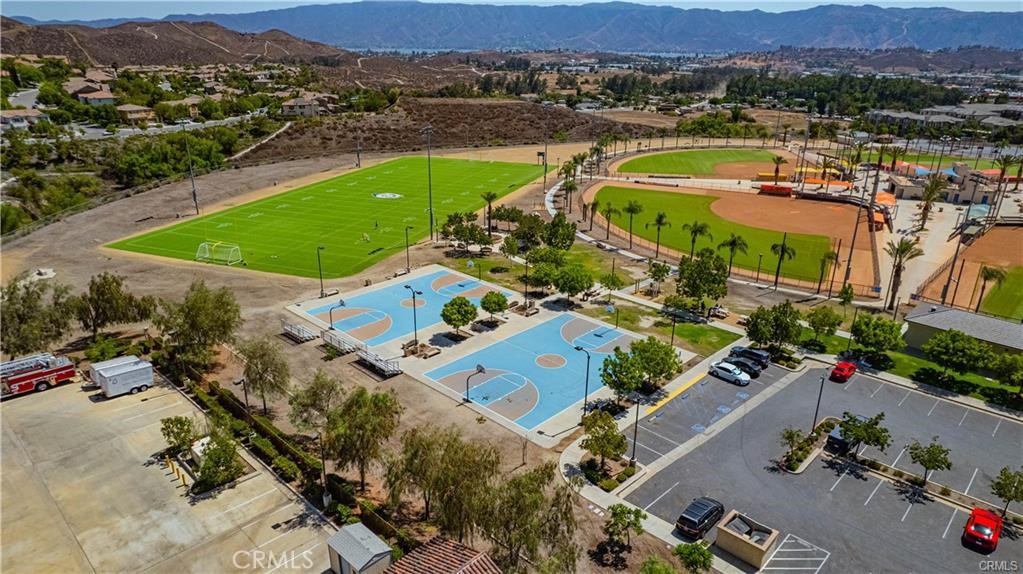 41031 Crimson Pillar