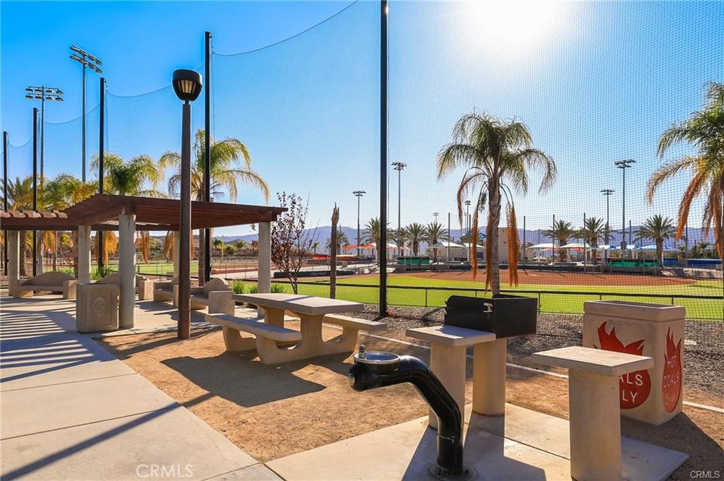 41031 Crimson Pillar