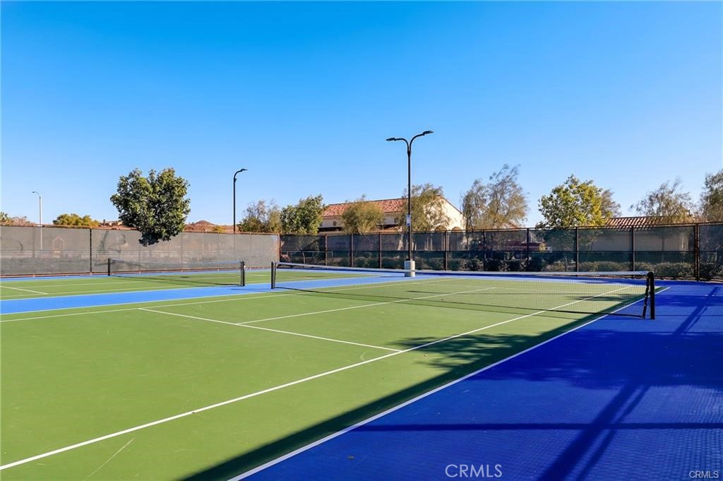 41031 Crimson Pillar