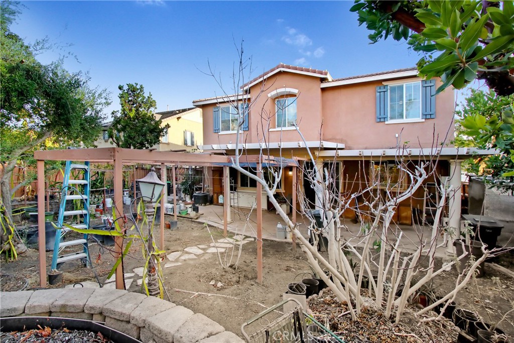 41031 Crimson Pillar