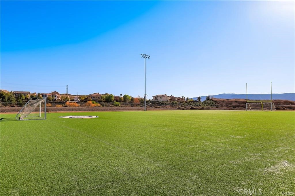 41031 Crimson Pillar