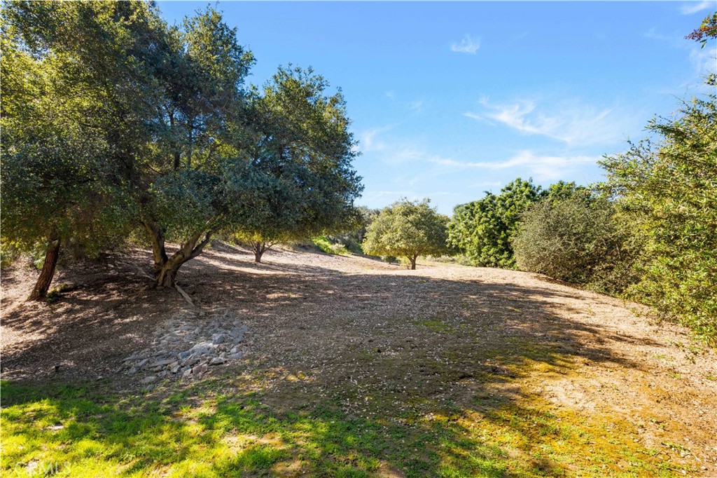 15930 Esquilime