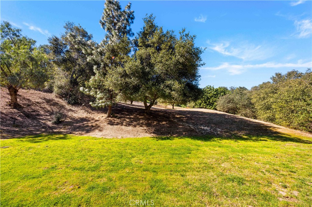 15930 Esquilime