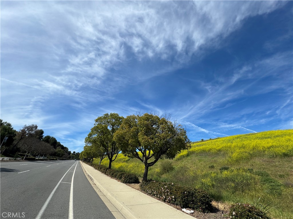 4406 Mission Hills Drive