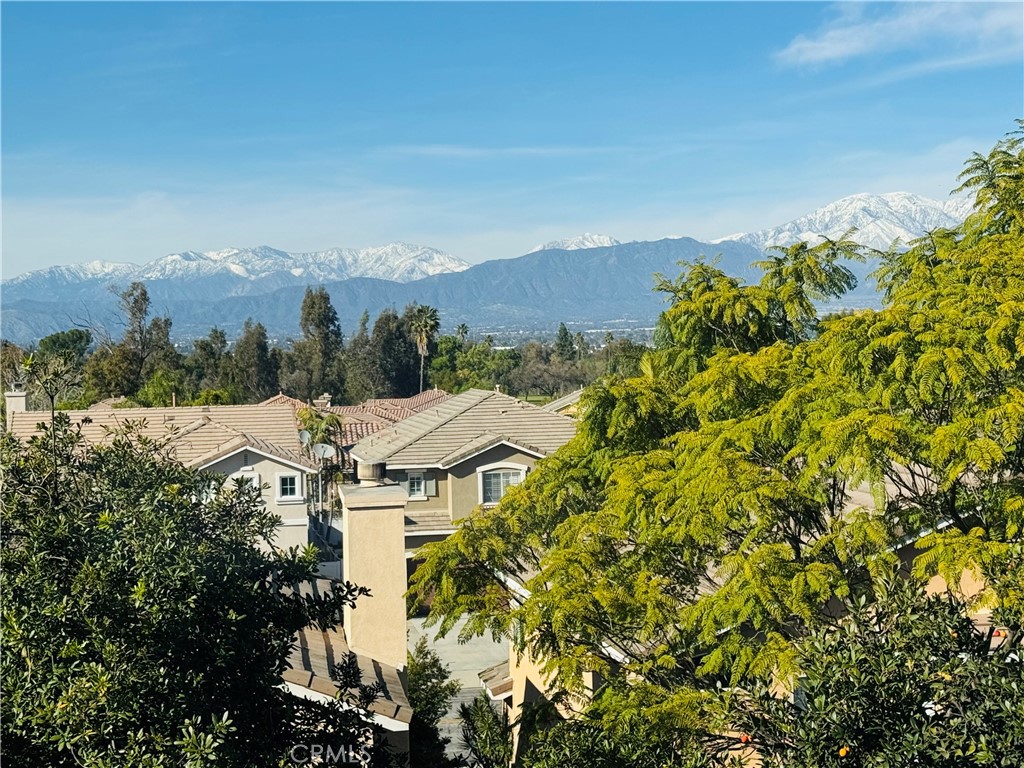 4406 Mission Hills Drive