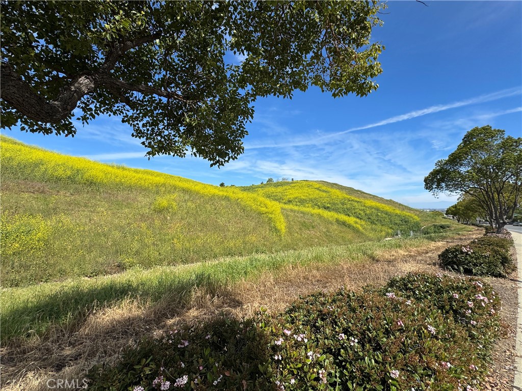 4406 Mission Hills Drive