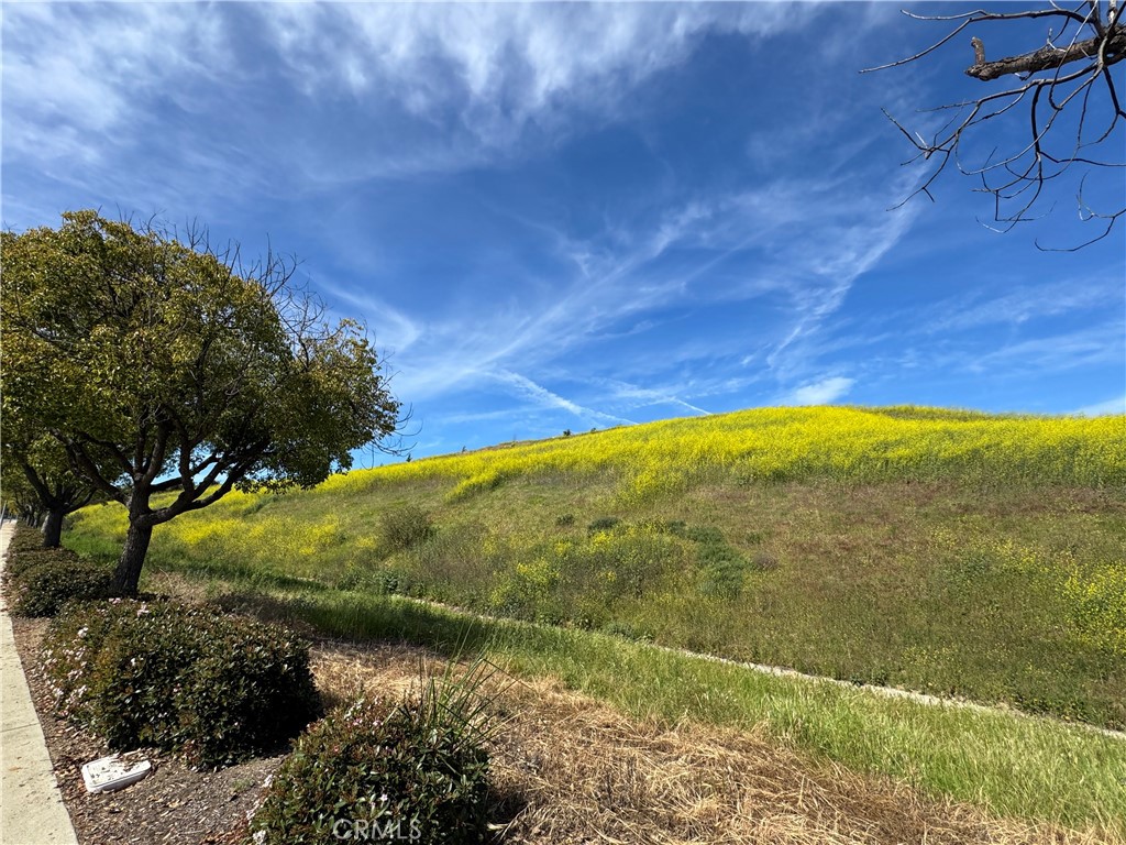 4406 Mission Hills Drive