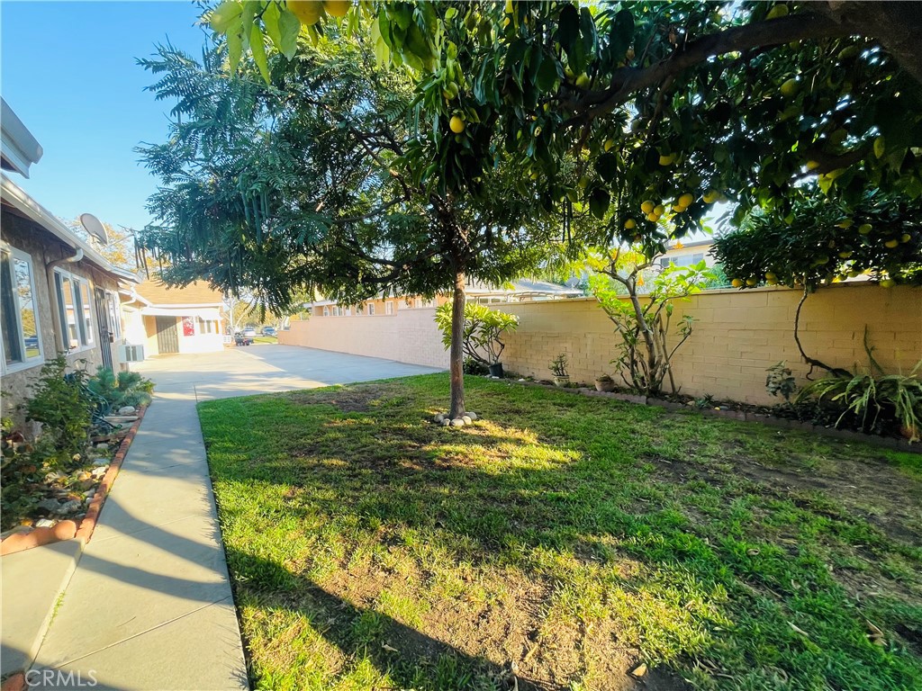 731 S Almansor