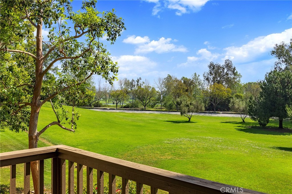 38 Arboles