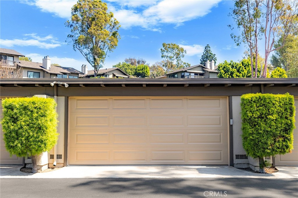 38 Arboles