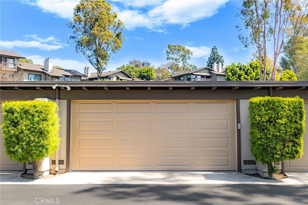 38 Arboles
