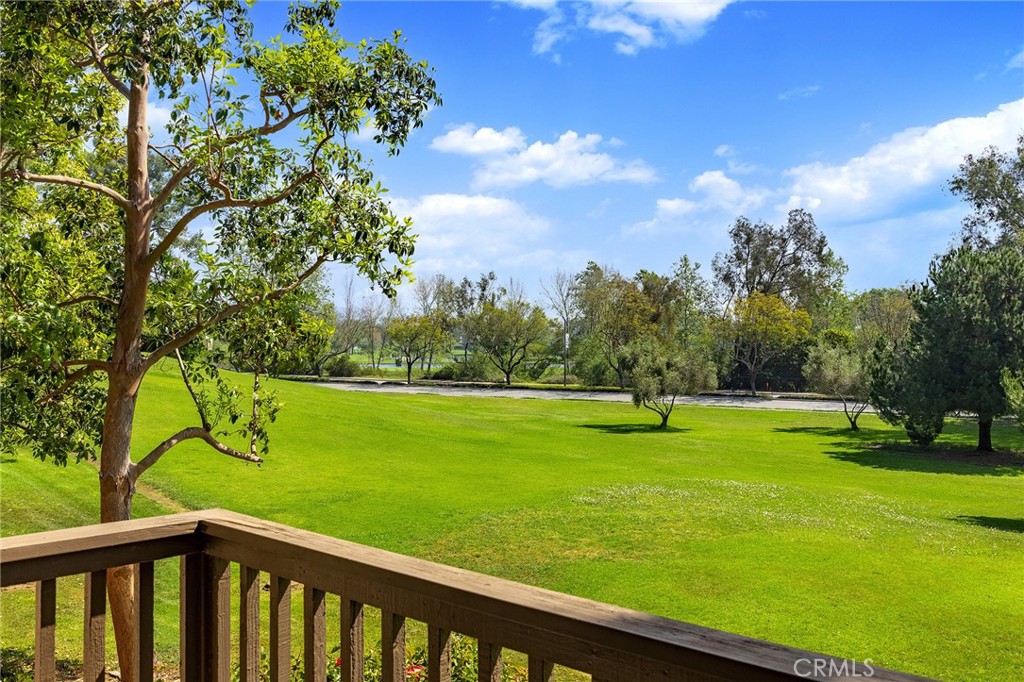 38 Arboles