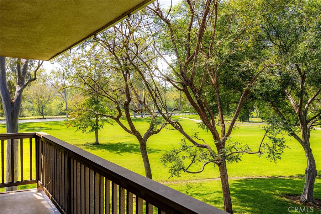 38 Arboles