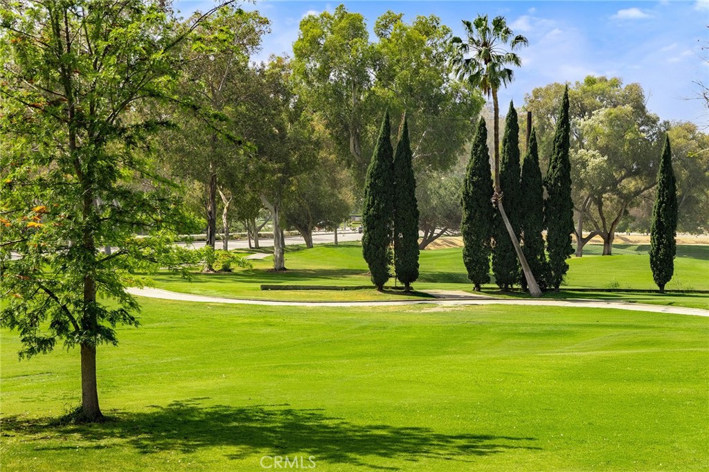 38 Arboles