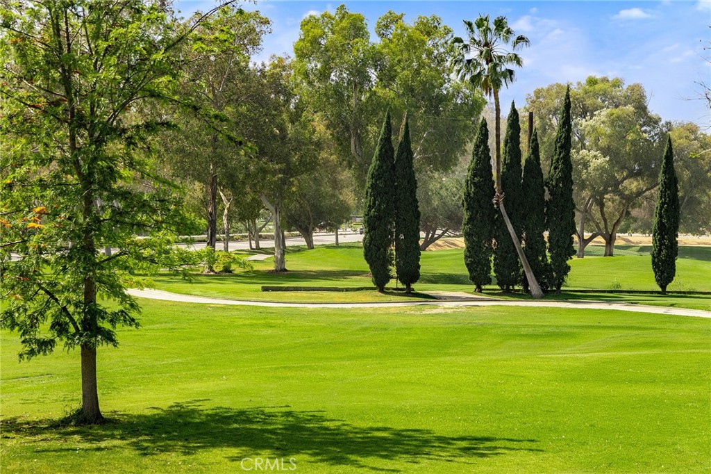 38 Arboles