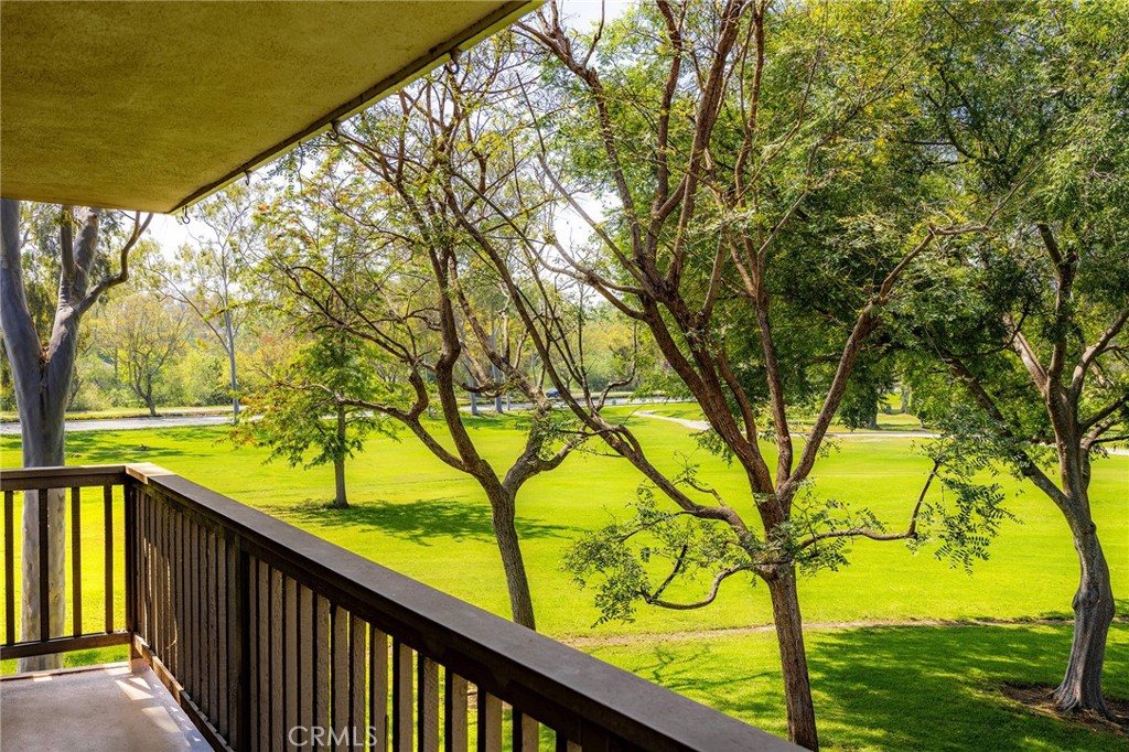 38 Arboles