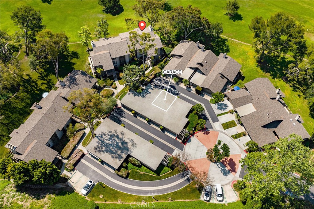 38 Arboles