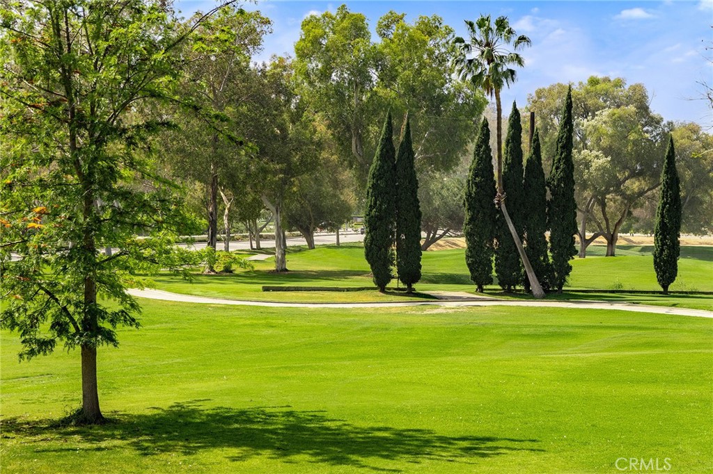 38 Arboles