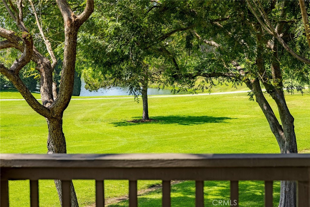 38 Arboles