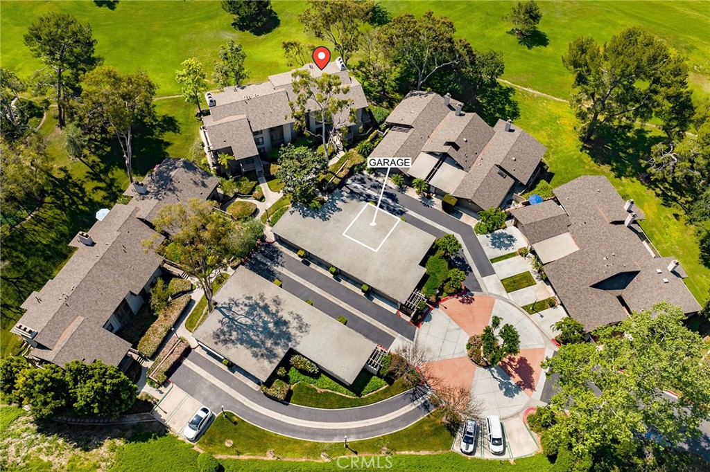 38 Arboles