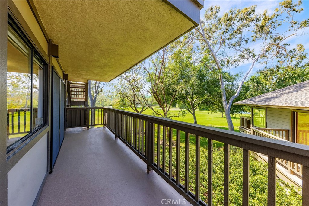 38 Arboles