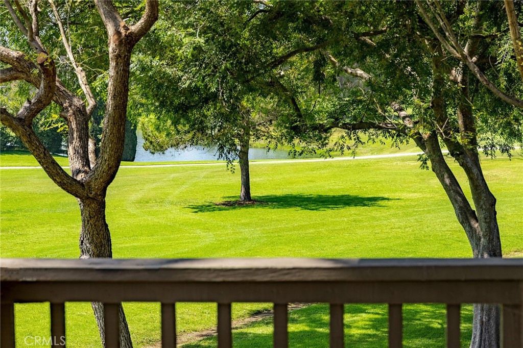 38 Arboles