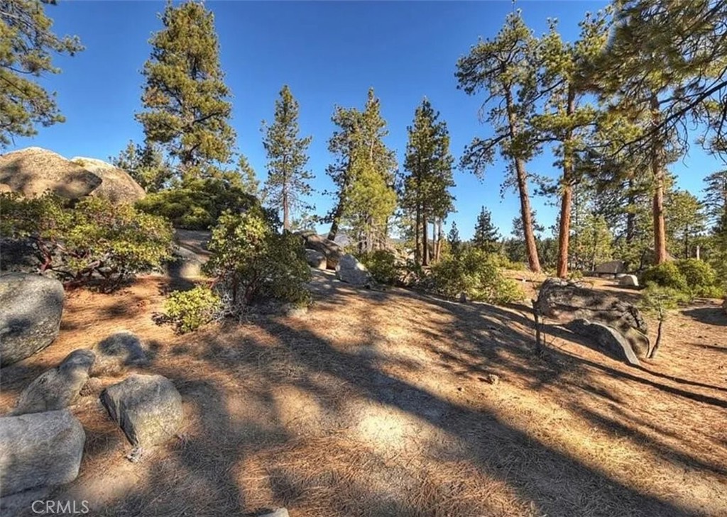 831 Cove Drive