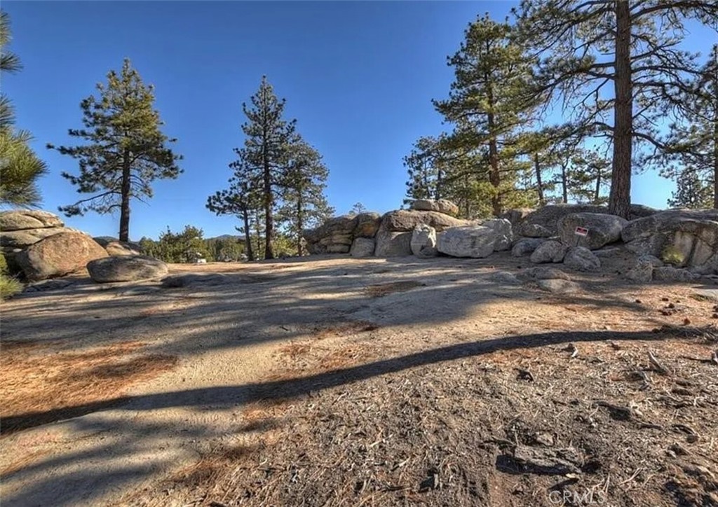 831 Cove Drive