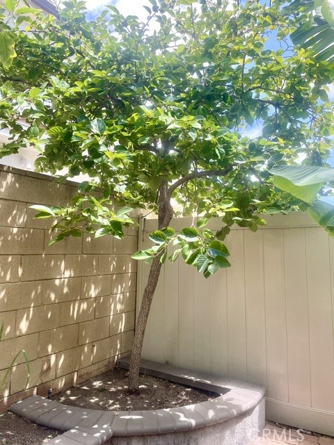 1224 S Cabernet Circle